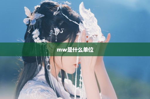mw是什么单位