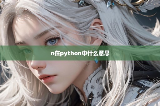 n在python中什么意思