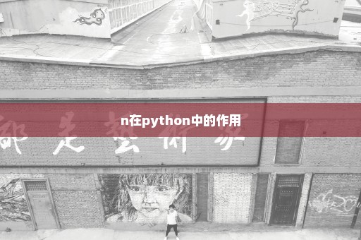 n在python中的作用