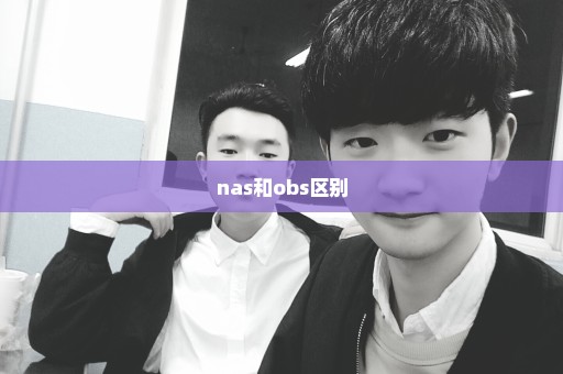 nas和obs区别