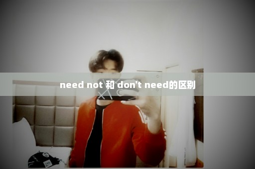need not 和 don't need的区别