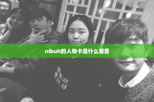 nibuh的人物卡是什么意思