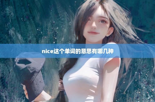 nice这个单词的意思有哪几种