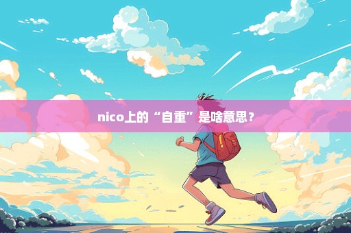 nico上的“自重”是啥意思？