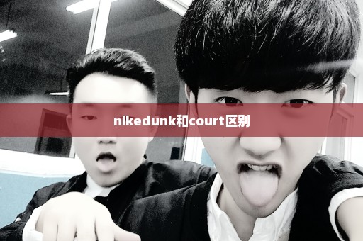nikedunk和court区别