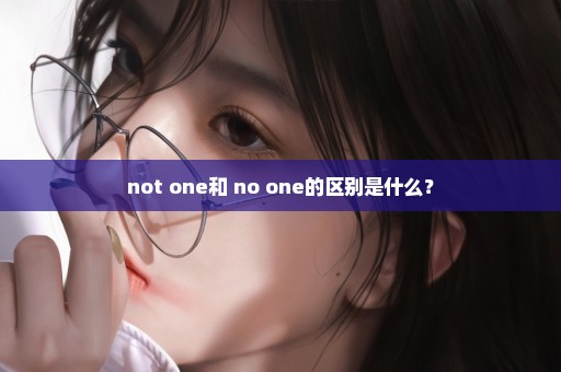 not one和 no one的区别是什么？