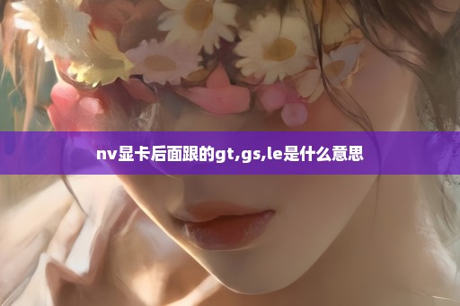 nv显卡后面跟的gt,gs,le是什么意思