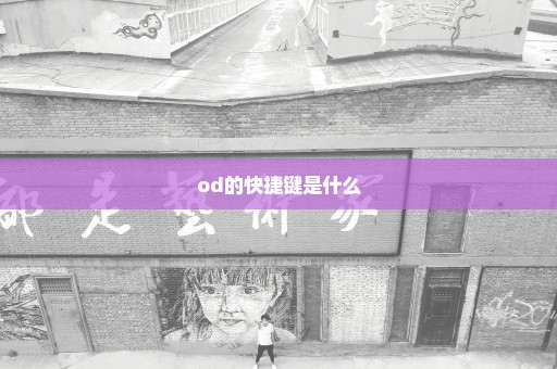 od的快捷键是什么