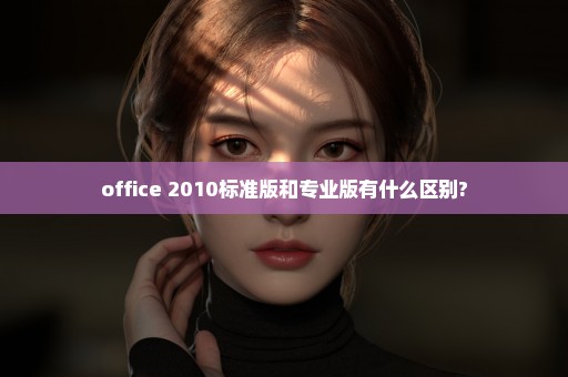 office 2010标准版和专业版有什么区别?