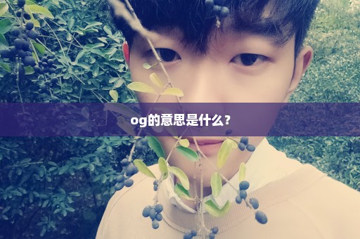 og的意思是什么？