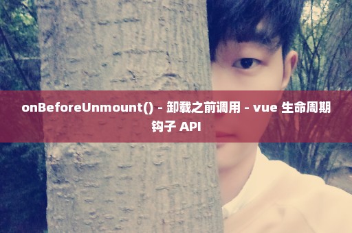 onBeforeUnmount() - 卸载之前调用 - vue 生命周期钩子 API