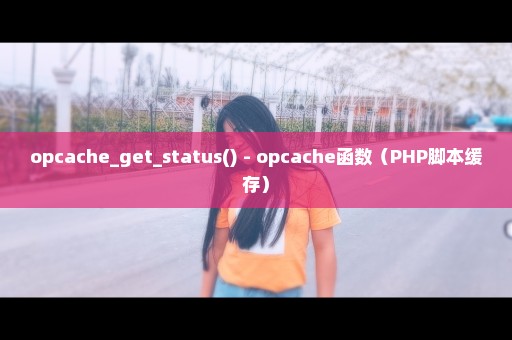 opcache_get_status() - opcache函数（PHP脚本缓存）