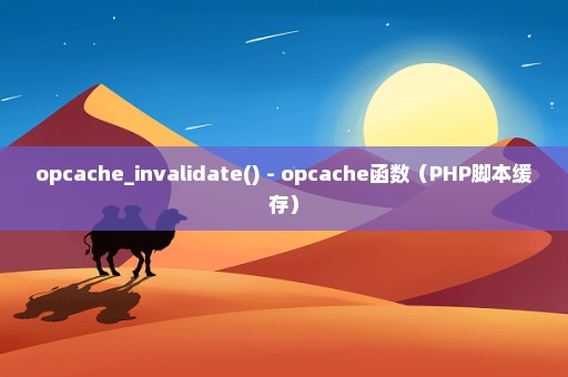 opcache_invalidate() - opcache函数（PHP脚本缓存）