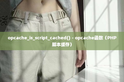 opcache_is_script_cached() - opcache函数（PHP脚本缓存）