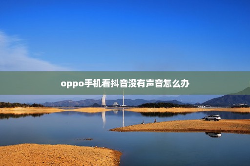 oppo手机看抖音没有声音怎么办