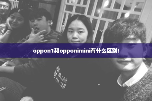 oppon1和opponimini有什么区别!
