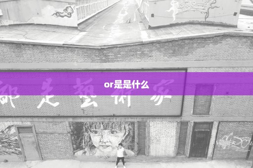 or是是什么