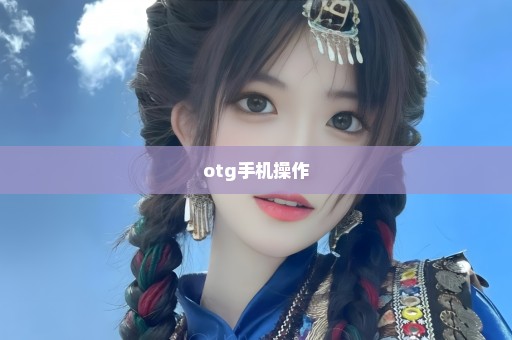 otg手机操作