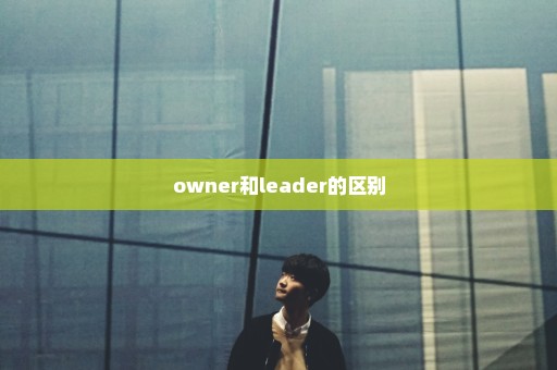 owner和leader的区别