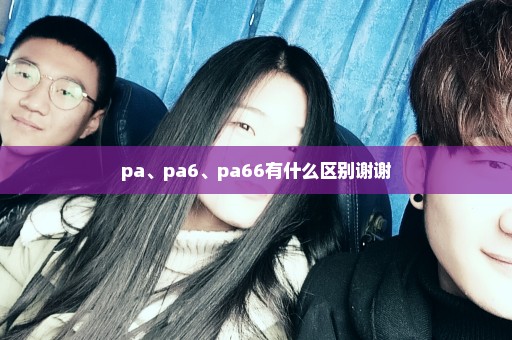 pa、pa6、pa66有什么区别谢谢