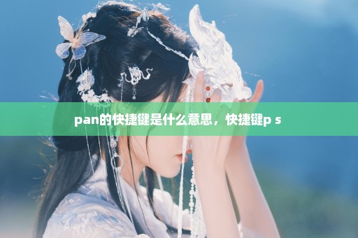 pan的快捷键是什么意思，快捷键p s 