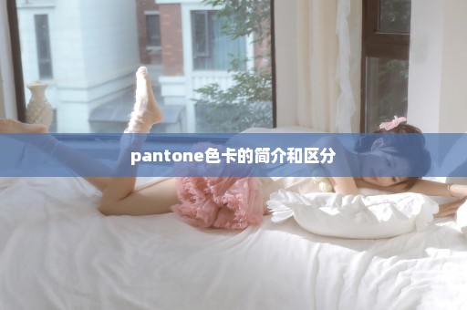pantone色卡的简介和区分