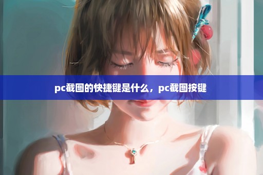 pc截图的快捷键是什么，pc截图按键 