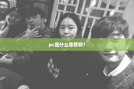 pc是什么意思啊？