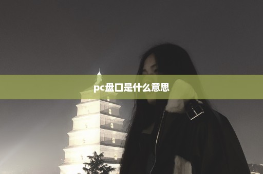 pc盘口是什么意思