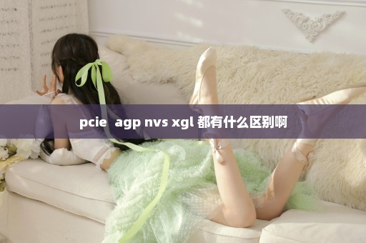 pcie  agp nvs xgl 都有什么区别啊
