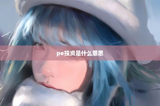 pe投资是什么意思