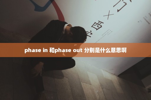 phase in 和phase out 分别是什么意思啊
