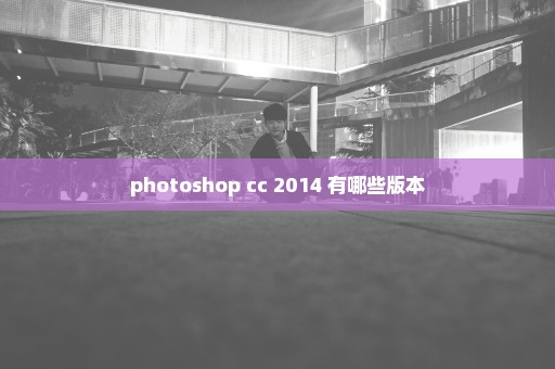 photoshop cc 2014 有哪些版本