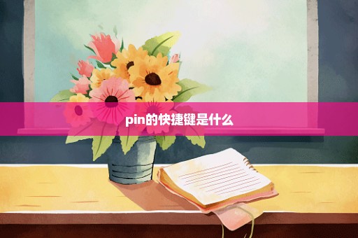pin的快捷键是什么