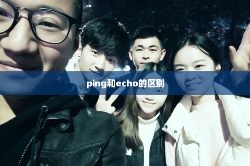 ping和echo的区别