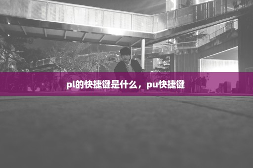 pl的快捷键是什么，pu快捷键 