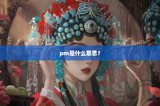 pm是什么意思？