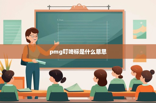pmg叮咚标是什么意思