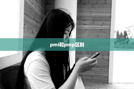 pmi和pmp区别