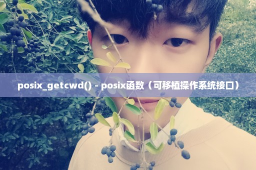 posix_getcwd() - posix函数（可移植操作系统接口）