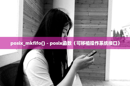 posix_mkfifo() - posix函数（可移植操作系统接口）