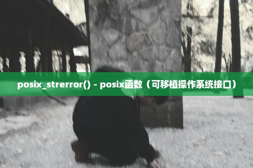 posix_strerror() - posix函数（可移植操作系统接口）