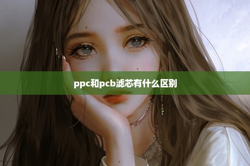 ppc和pcb滤芯有什么区别