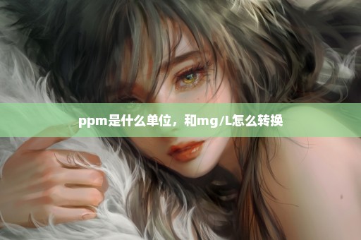 ppm是什么单位，和mg/L怎么转换