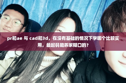 pr和ae 与 cad和3d，在没有基础的情况下学哪个比较实用，最起码能养家糊口的？