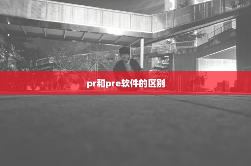 pr和pre软件的区别