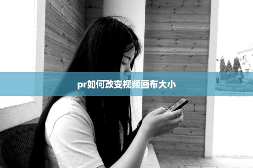 pr如何改变视频画布大小