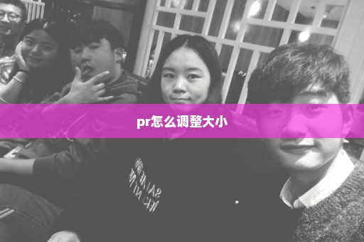 pr怎么调整大小