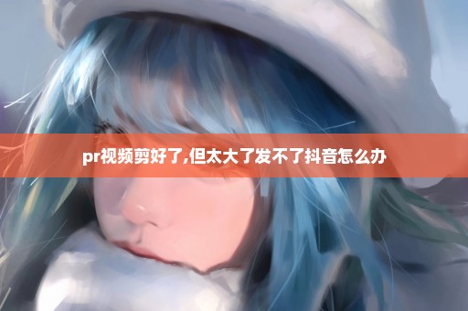 pr视频剪好了,但太大了发不了抖音怎么办