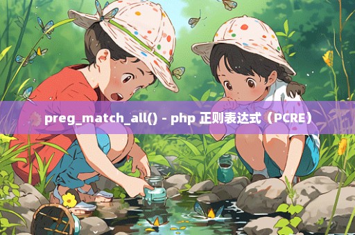 preg_match_all() - php 正则表达式（PCRE）